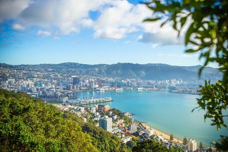 PRIVATE Wellington Half Day Tour including Cable Car