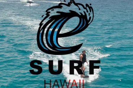 Electric Surf Board Experience Hawaii