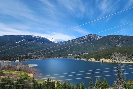 Mountain Breeze Tour - Mountain E Bike - Whistler Marmot Activity
