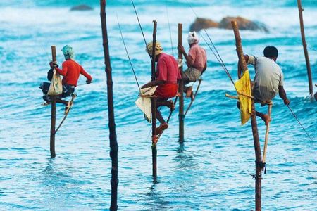 Galle Day Tour from Colombo/Negombo by Private Car or Van