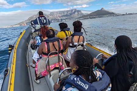 1 Hour Cape Town Ocean Safari 