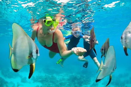 2-Hour Mauna Kea One Stop Sealife Snorkel Adventure