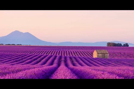 Lavender - Verdon Canyon - Castellane - Moustier - Small Group