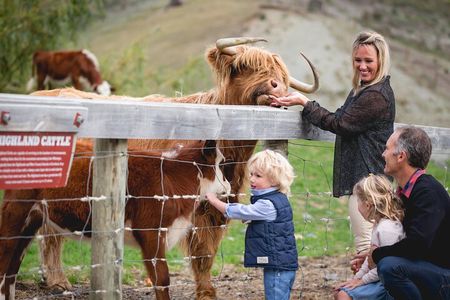 Walter Peak Farm Tour and Lake Cruise