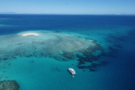 Cairns: Semi-Private | Outer Reef Snorkel & Dunk Island