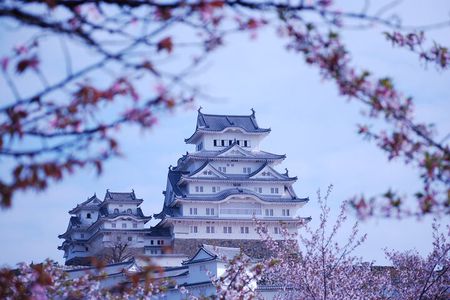 Explore Himeji Castle a Guided Walking Tour