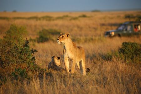 5-Day Maasai Mara, Lake Nakuru & Lake Naivasha Boat Ride Safari