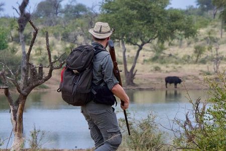 Half-Day Walking Safari in Greater Kruger National Park