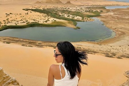 Fayoum Oasis Safari 4×4 Wadi El Rayan & Valley of the whales 