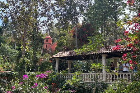 Private Tour: Botanical Garden, Petroglyphs & Mexican Food