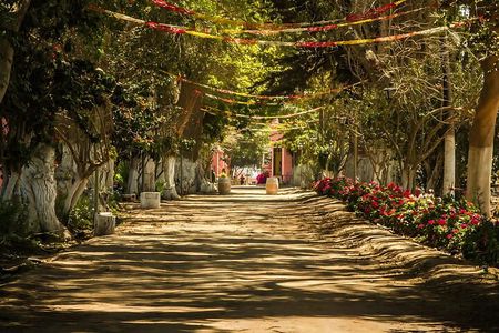 Tacama Winery : Gran Tour Tacama + Bodega Artesanal