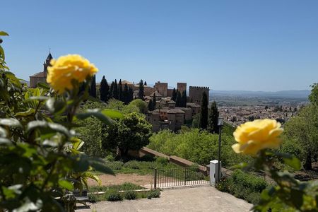 Private Night/Day Alhambra with Nasrid Palaces