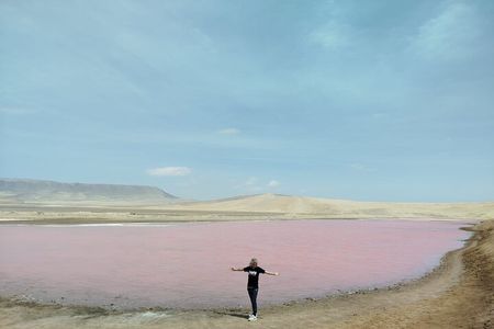 Paracas National Reserve Half Day Tour