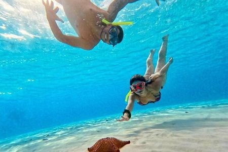 Catamaran Excursion + Open bar + Snorkeling at El Cielo