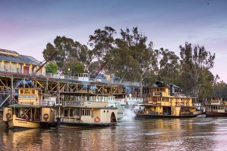 Small-Group Murray River Adventure - Paddle Steamer & Wildlife