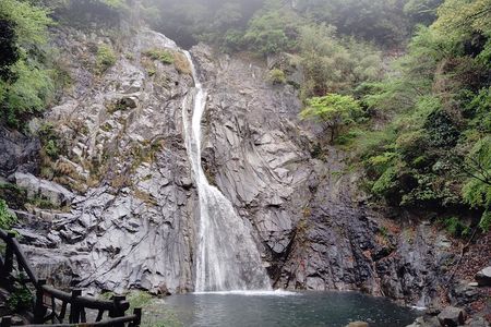 Kobe Nunobiki Falls Morning Guided Hike