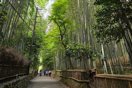 Arashiyama Half Day Tour