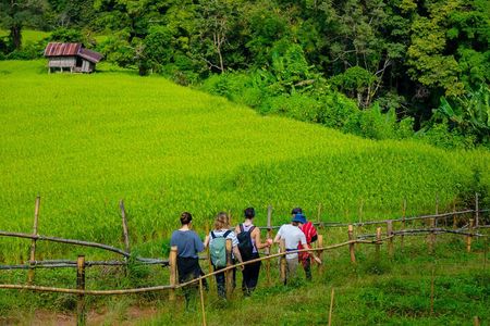 Full Day Doi Inthanon and Pha Dok Siew Trek from Chiang Mai
