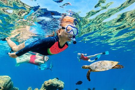 Turtle Snorkeling Adventure From Waikiki, Oahu