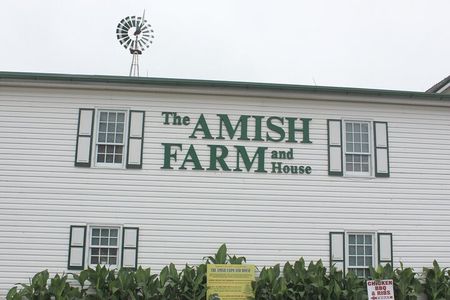 Amish Farm and House 1-Day Small Group with Max 12 Tour from D.C 