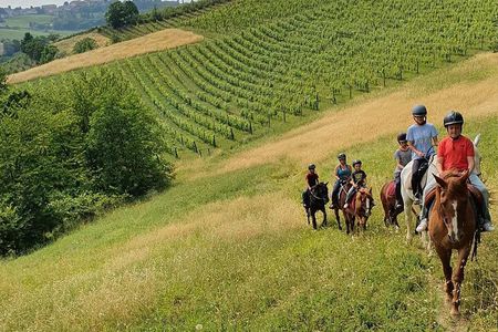 Horse Riding Adventure in Langhe: Piemonte's Scenic Vineyards