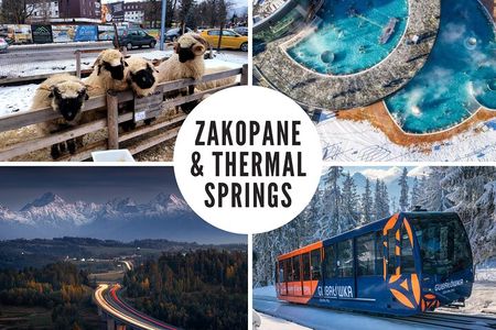 Zakopane & Thermal springs with private driver