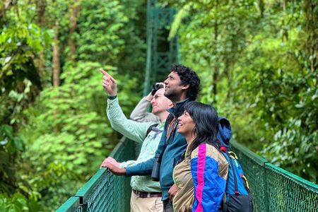 Hanging Bridges & Wildlife: Monteverde Cloud Forest Experience