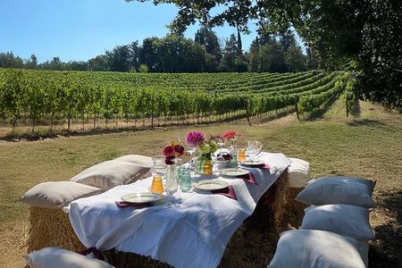 Tasting with welcome Aperitivo in the vineyard of organic wines