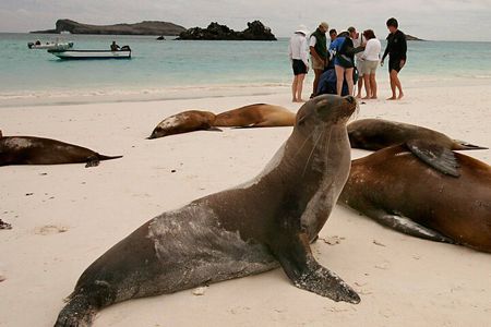 5 Days Tour to Explore Santa Cruz ,Isabela and Santa Fe Galapagos