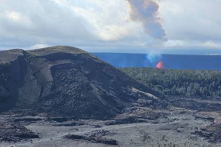 Hilo and Volcano National Park Tour for Cruise Passengers at port