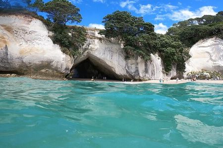 Cathedral Cove, Hot Water Beach & Coromandel Small-Group tour