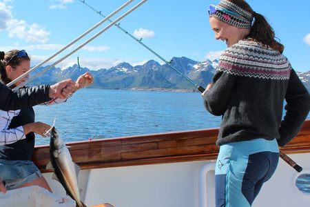 Taste of Lofoten Cultural Fishing Experience from Svolvær