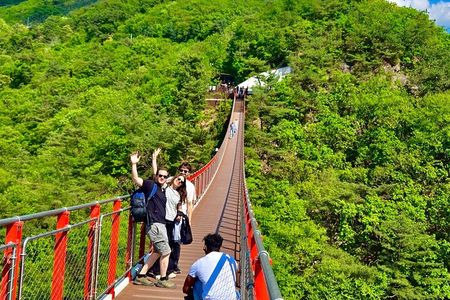 DMZ: Explore 3rd Tunnel & Nature Walk on Suspension Bridge