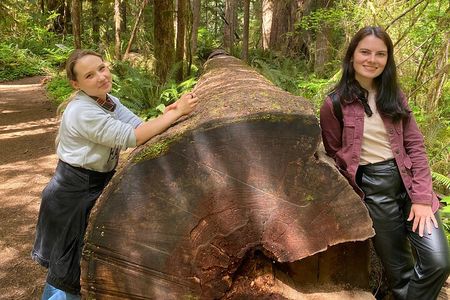 Seattle: Rainforest, Beach, and Olympic National Park Highlights