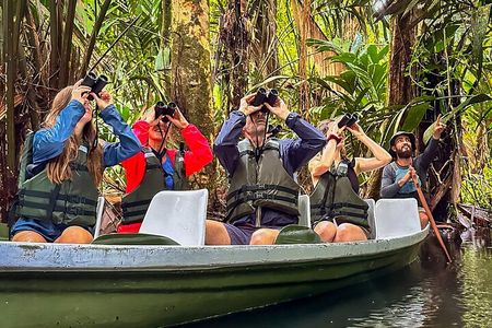 Tortuguero Sunrise Canoe Tour – Coffee, Binoculars & Wildlife