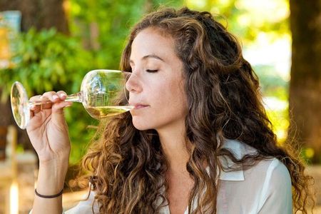 Wine Tasting Tour to Stellenbosch and Franschhoek from Cape Town