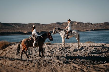Beach and Desert Scenic Horseback Ride in Baja California Sur