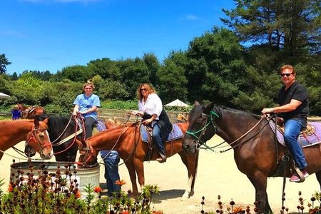 Private Horseback Riding and Muir Woods Adventure from San Francisco