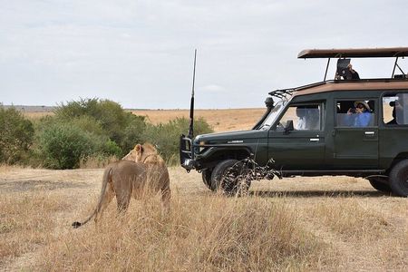 3 Days Maasai Mara Budget Safari From Nairobi