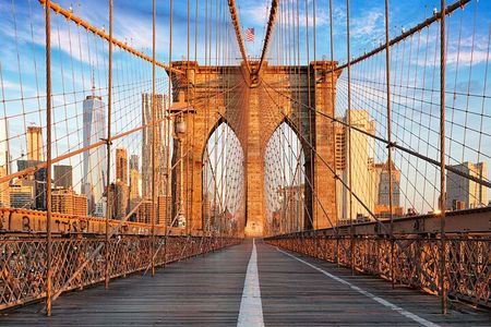 Brooklyn Bridge, DUMBO, and Skyline Guided Tour