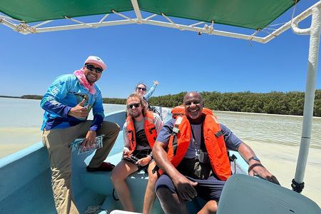 Boat tour through the mangroves of Celestún and Playa from Merida