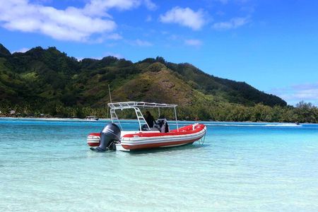 Private excursion Half day Moorea Discovery of the lagoon