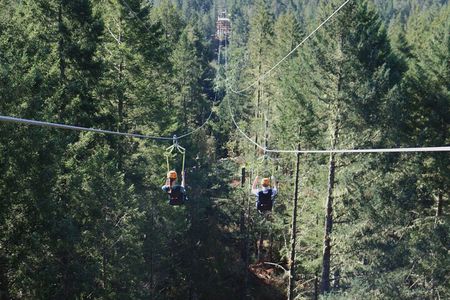 The Big Zip Experience