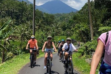 Bali Downhill Cycling Kintamani to Ubud with Private Transfer