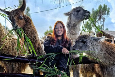 Viewpoints and Streets Tour of Cusco Photo Tour 