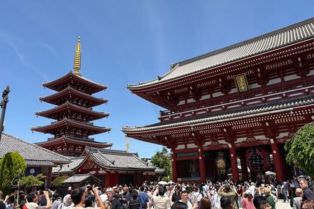 Tokyo Private Sightseeing Tour by Car with Local Guide