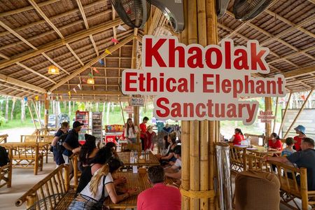Khao Lak Ethical Elephant Sanctuary Conservation Experience