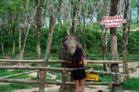 Khaolak Elephant Sanctuary, Cooking Class and Waterfall Tour