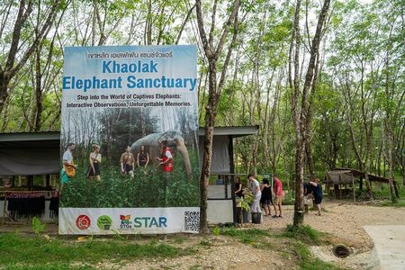 Evening Guide Tour to Khaolak Elephant Sanctuary Free 1 Cocktail