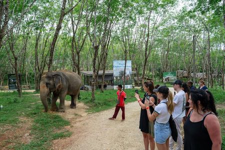 Guide Tour to Khaolak Elephant Sanctuary in Small Group